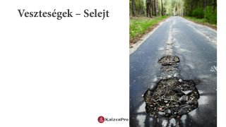 Veszteségek és a sikeres szolgáltatók