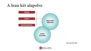 A lean alapelvei és célja