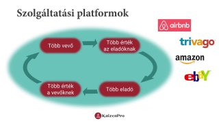 Történet, alapfogalmak - szolgáltatás és érték