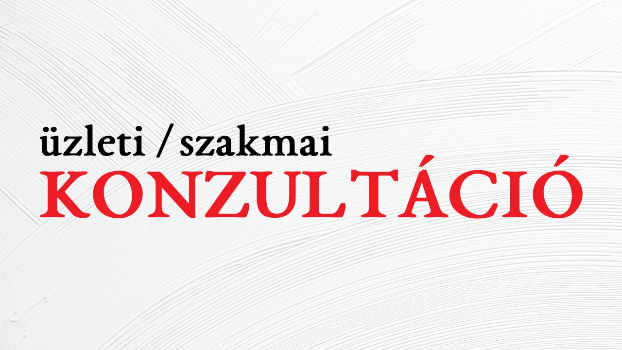 Üzleti / szakmai konzultáció